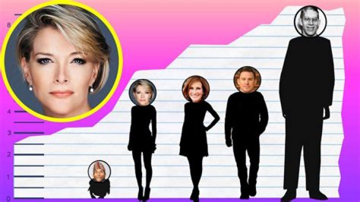 Megyn Kelly Ethnicity, Nationality, Race, Family, Body measurements, career