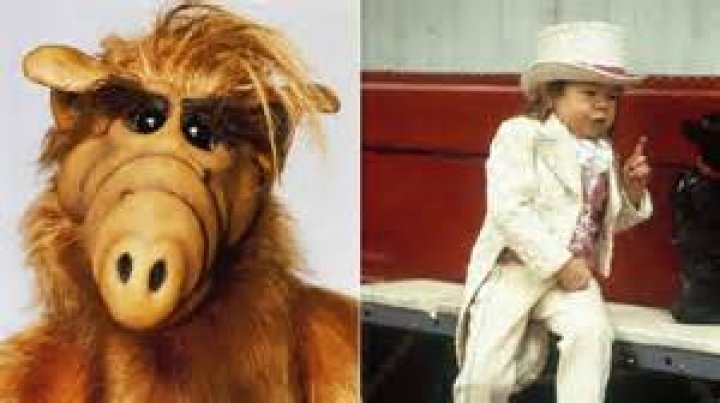 Michu Meszaros Dead, ‘Alf’ Star Dies at 76: Report