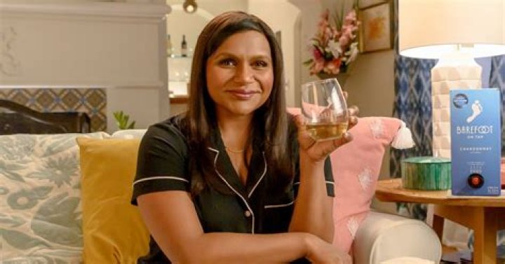 Mindy Kaling Channels ‘The Mindy Project’ in New Wine Ads: Watch