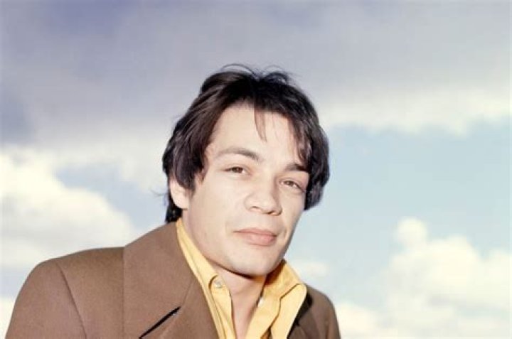 Mitch Ryder Net Worth, Income, Salary, Earnings, Biography, How much money make?