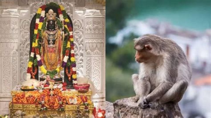 Security officials say 'Lord Hanuman himself came to offer prayer' – India TV