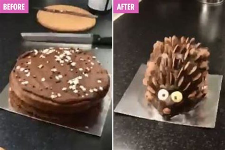 Mum transforms £3.50 Tesco cake into incredible hedgehog design using extra icing and chocolate buttons – The US Sun