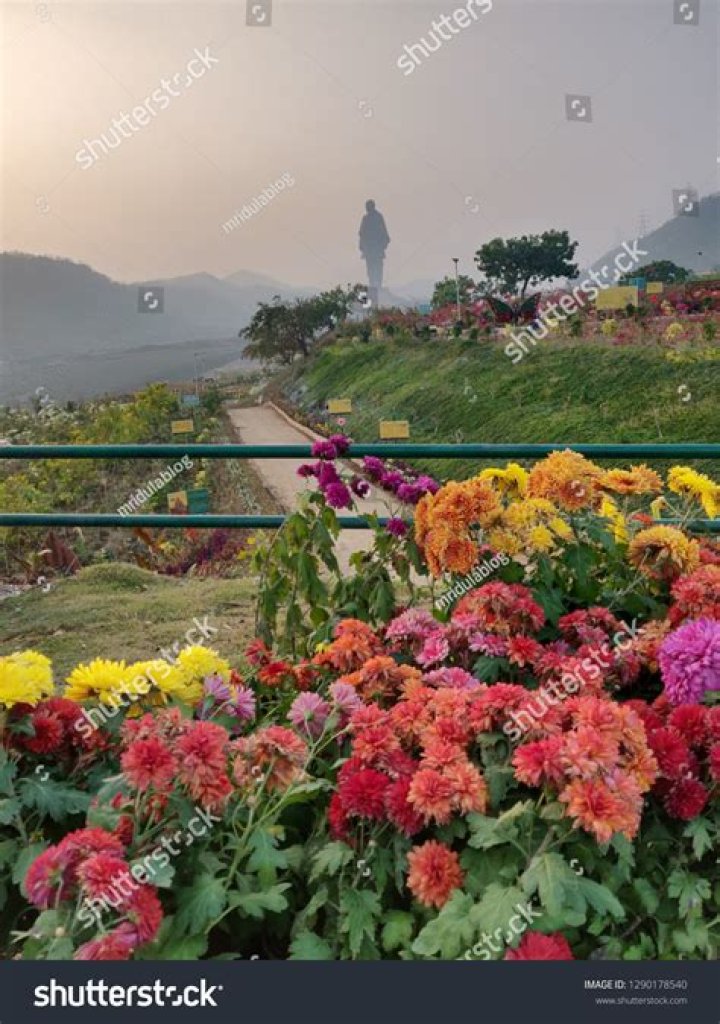 Navagam Pin Code | Postal Code (Zip Code) of Navagam, Ahmedabad, Gujarat, India