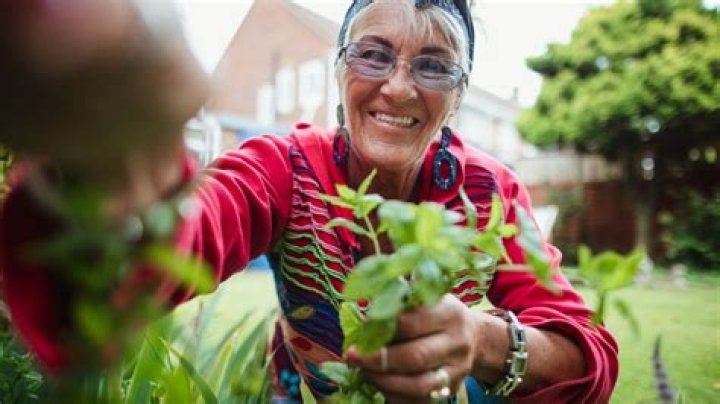 I caught my 'entitled' neighbour helping herself to my herb garden without my permission - I'm fuming
