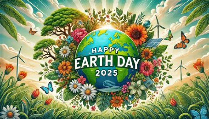 This year's Google Doodle is all about 'Restoring Our Earth' – India TV