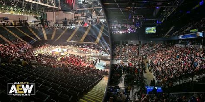 Nick Wayne’s Impression On The AEW Audience In Debut Match