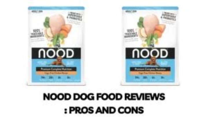 Nood Dog Food Reviews: A Comprehensive Analysis For Pet Owners