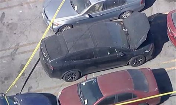 Two missing women found badly decomposed inside car ‘deep in woods’ died in ‘extremely high velocity’ crash, cops reveal – The US Sun