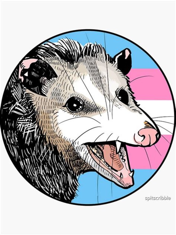 Embracing Identity: The Opossum Trans Symbol