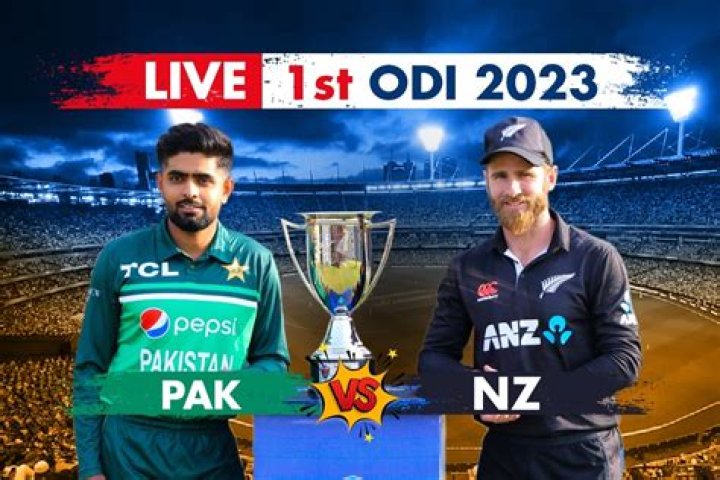 Pakistan win by 6 wickets – India TV