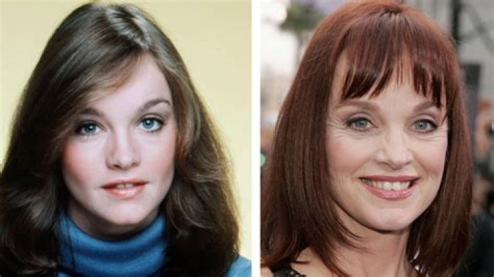 Pamela Sue Martin Net Worth, Income, Salary, Earnings, Biography, How much money make?