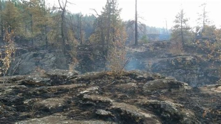 Parkway Fire in Post Falls, Idaho reaches 100% containment; investigation into cause continues
