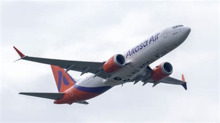 Passenger recounts travelling experience with pet on Akasa Air flight, airline replies – India TV