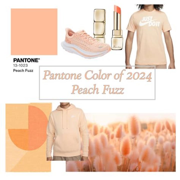 Peach Fuzz! Shop Fashion in Pantone's 2024 Color of the Year