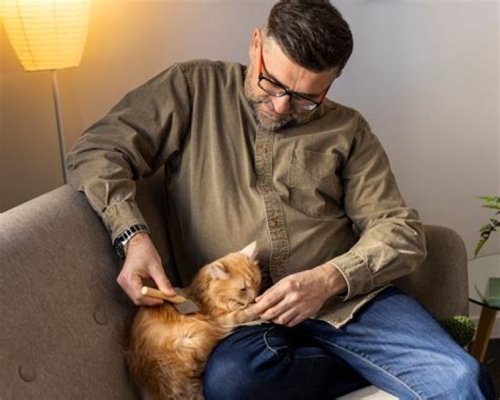 Unleashing The Bond: Exploring The Life Of A Person With Pet