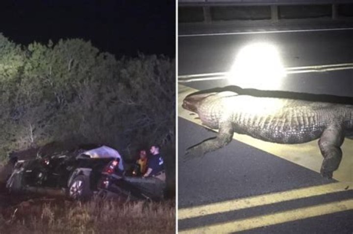 Shocking photos after alligator causes horrific car crash killing mom and unborn baby
