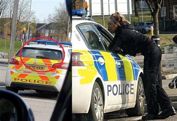 Two cops caught KISSING in patrol car forced to apologise after driver films their twenty minute snog session