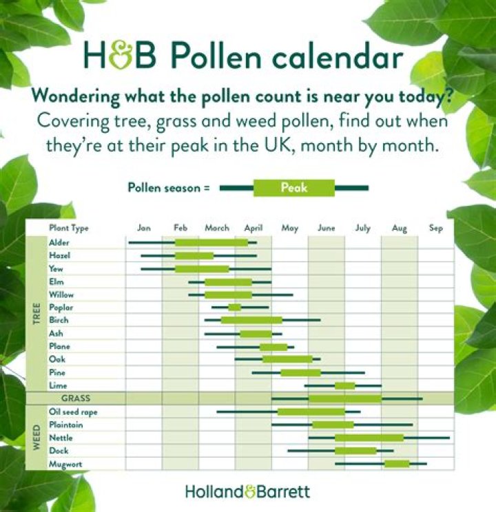 What is the pollen count today in the UK? – The US Sun