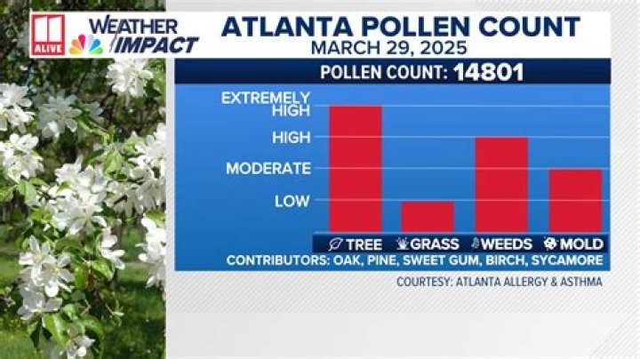 Pollen counter says Boise tree pollen is abnormally high