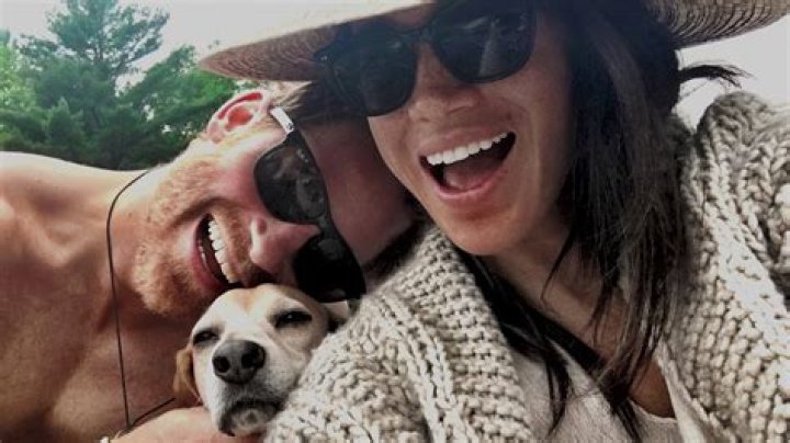 Prince Harry, Meghan Markle's Quotes About Their Rescue Dogs