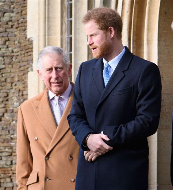 Prince Harry Quotes About Prince Charles Relationship: Photos