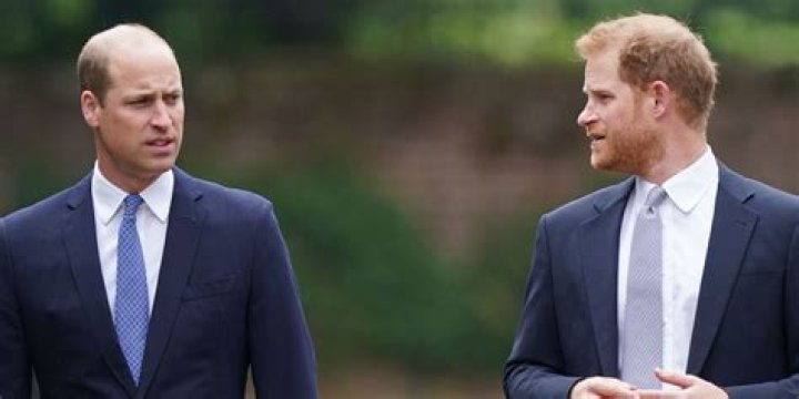 Prince William Thinks Prince Harry Is 'Not to Be Trusted'