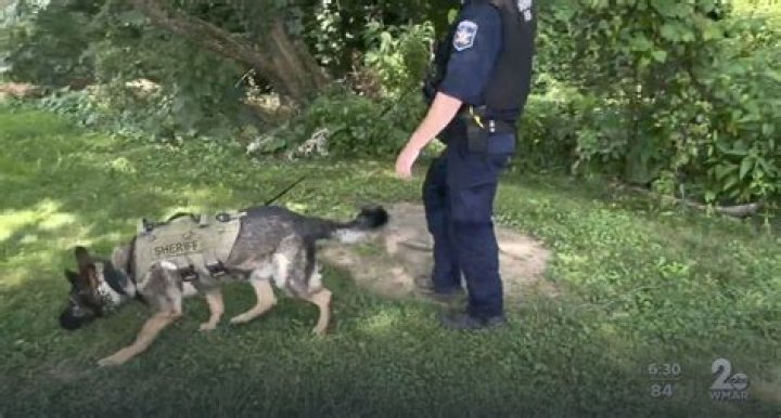 Sister of missing mom Rachel Morin speaks out about family’s devastating 'back to back losses' after body found