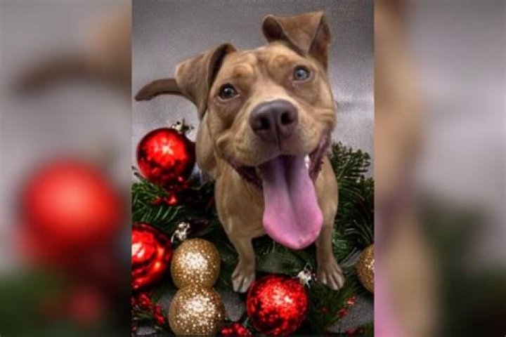 'Find a Family for Me'