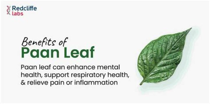 Reap these 7 health benefits of paan or betel leaves in summers – India TV