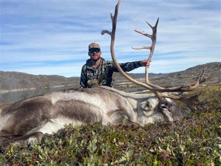 Inside sick 'Santa slay' hunting tours where Brit animal killers pay £6,000 to shoot endangered reindeer for kicks