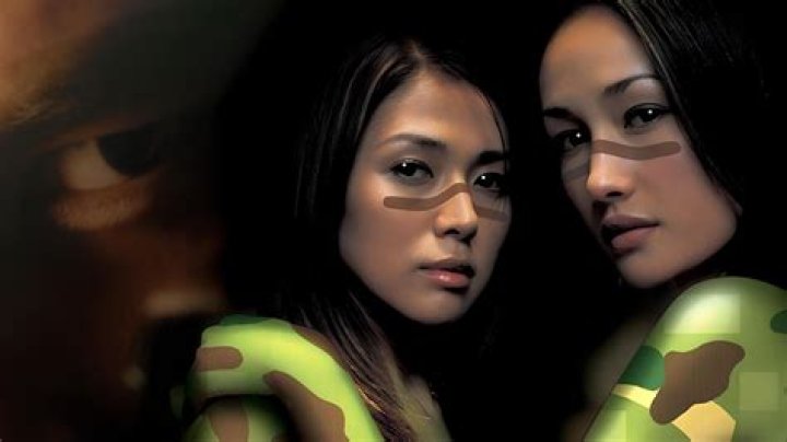 Unveiling The Life Of Renee Nichole Rommeswinkel