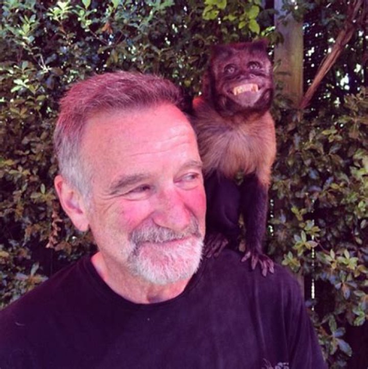 Robin Williams' Final Days: A Tragedy Remembered