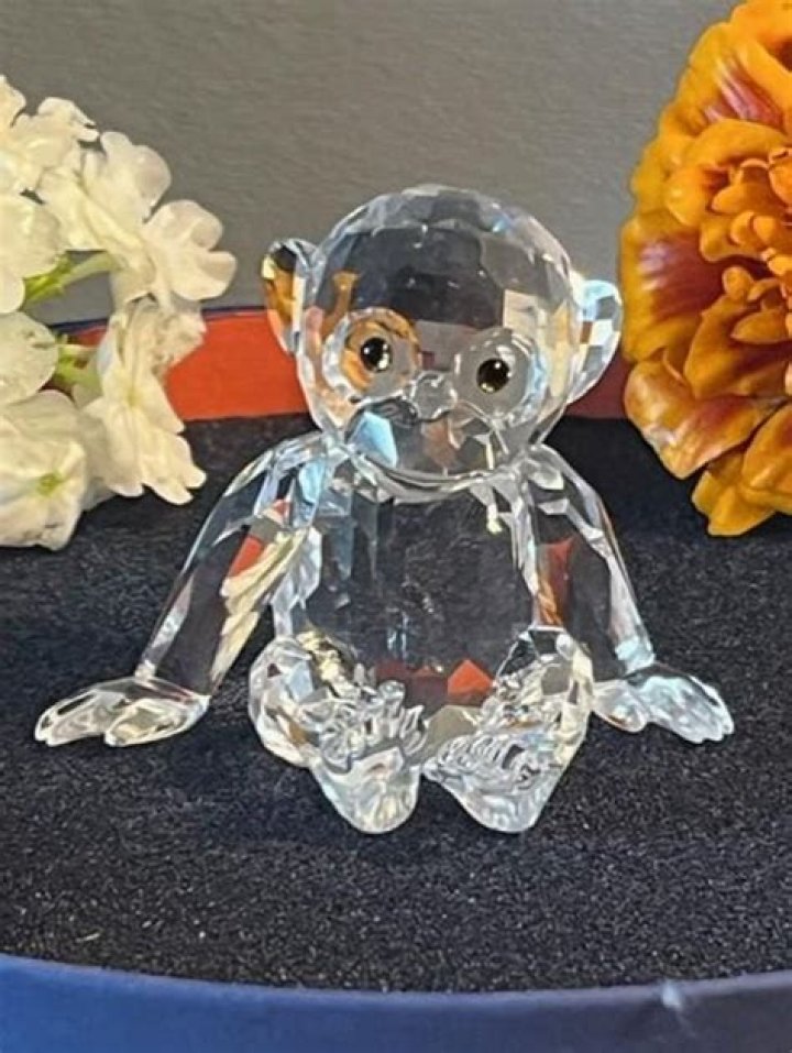 Robin Williams Celebrate Last Birthday With Monkey Crystal: Exclusive