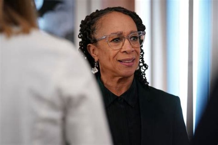 S. Epatha Merkerson Ethnicity, Nationality, Race, Family, Body measurements, career