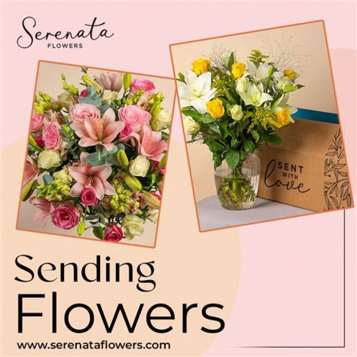 Serenata Flowers Promo Code | 10% - January 2024