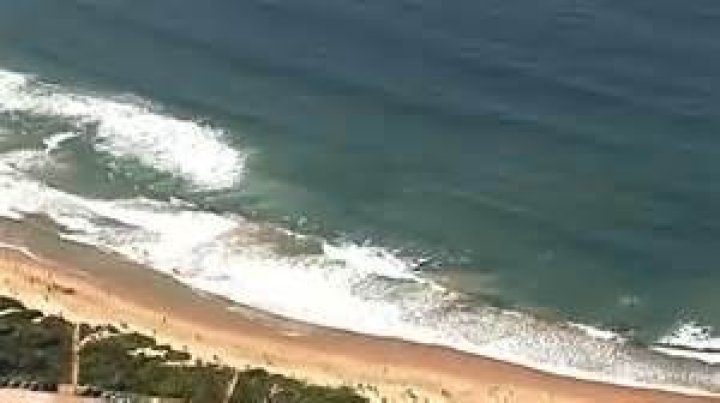 Huge 11ft great white shark is spotted after tracker reveals shocking number of monster fish swimming near US beaches