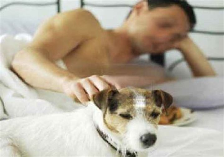 Pune man arrested for having sex with a dog