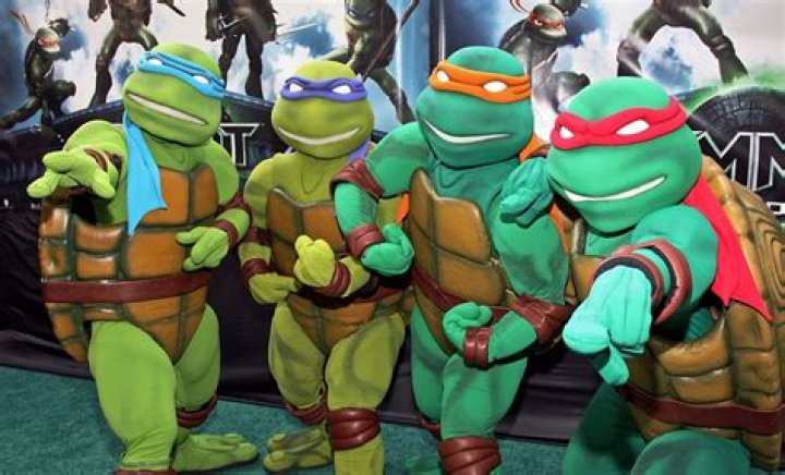 Should the best artists of the Renaissance be defined by the Teenage Mutant Ninja Turtles?