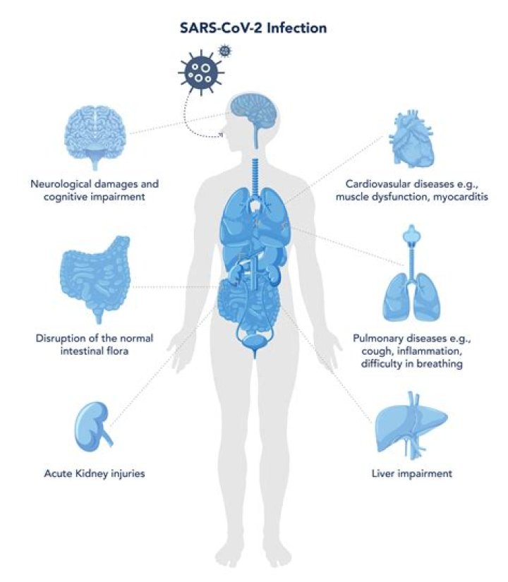 SHYCOCAN canon to kill coronavirus manufactured in Bengaluru COVID-19 how it works – India TV