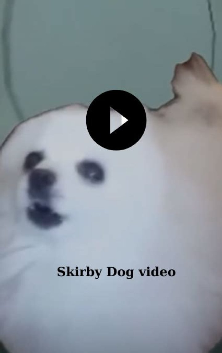 Skirby Dog Video Full: An In-Depth Look At The Viral Sensation