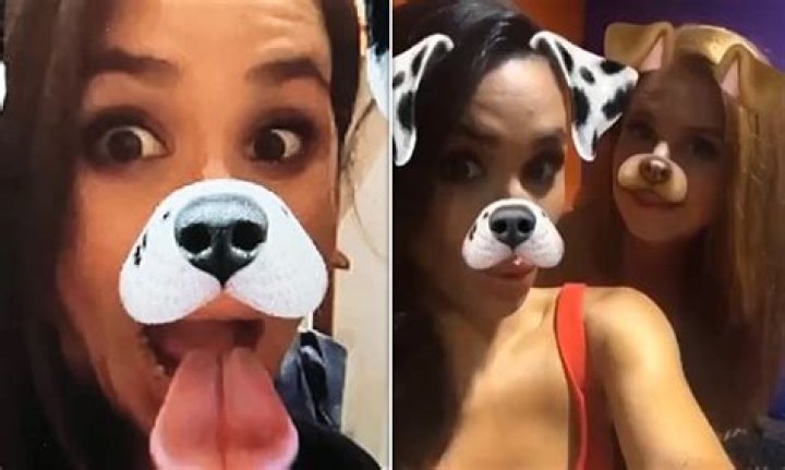 Dog snapchat filter: You can now turn your pet into an adorable Disney character
