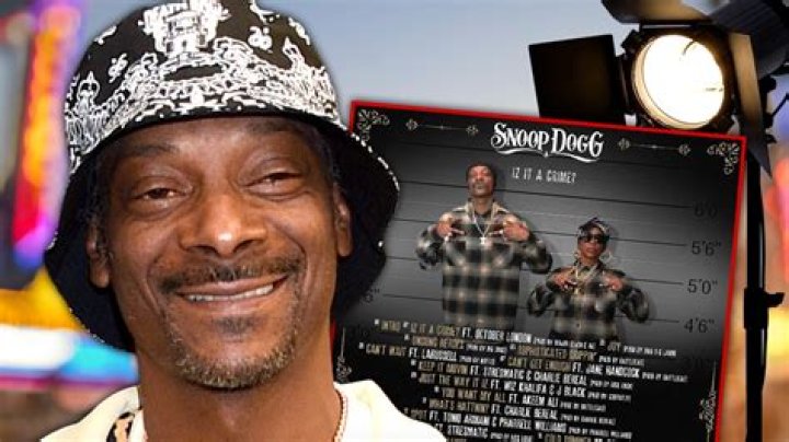 Snoop Dogg's Criminal Record: A Comprehensive Overview