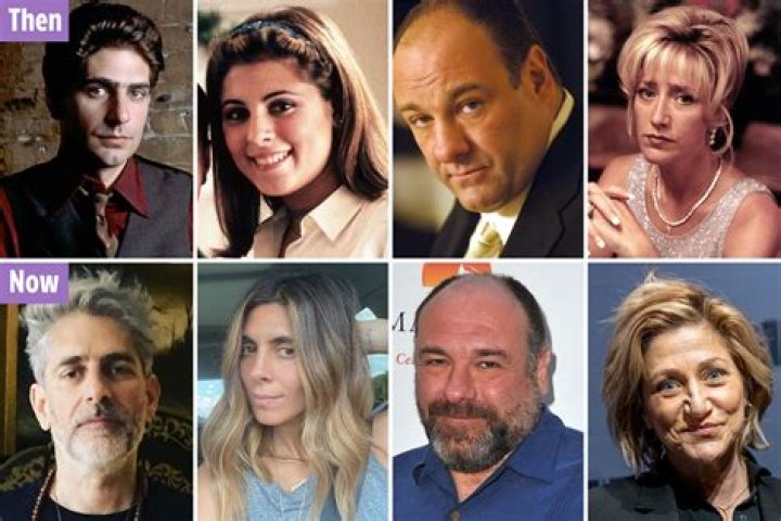 Where The Sopranos cast are now from tragic death and gas explosion to Mariah Carey video and Friends star