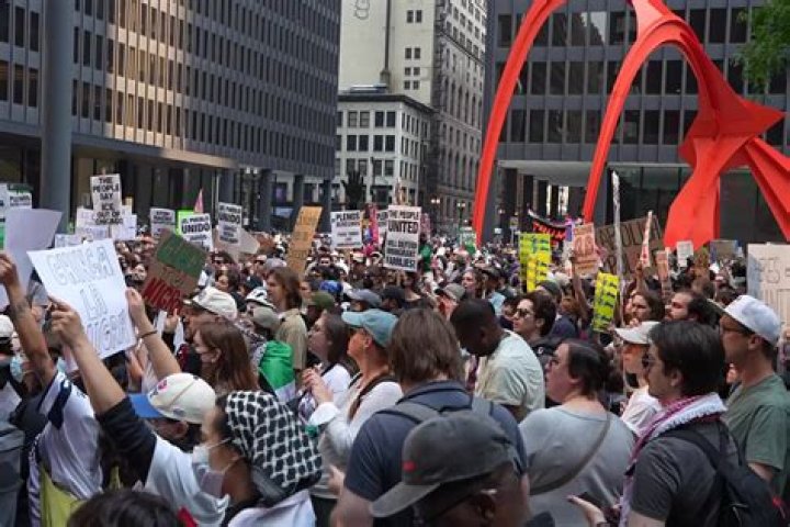 Stars Arrested While Protesting: Photos