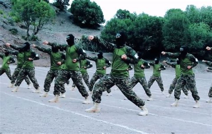Taliban ‘hit squads’ seen in bizarre karate-style training video smashing plates and grappling in hand-to-hand combat