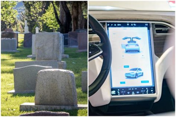 Tesla car detects 'ghost' while driving through cemetery – can you spot it?