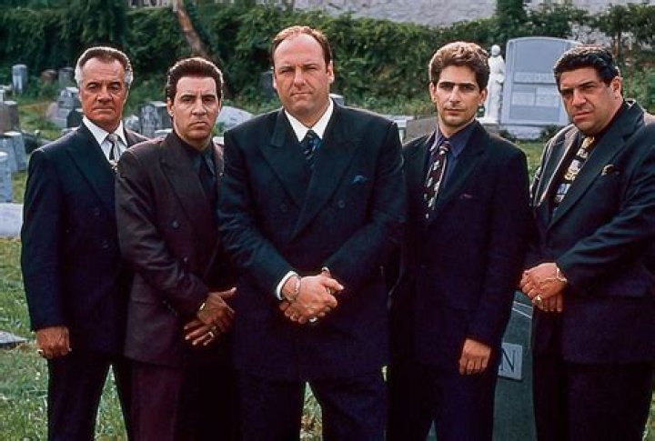 'The Sopranos' Most Iconic Guest Stars During the Show's 6 Seasons