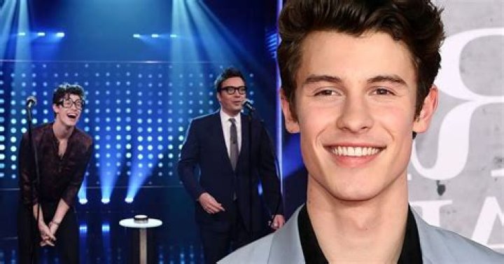 The Voice's Camila Cabello Gets 'Awkward' After Shawn Mendes Song