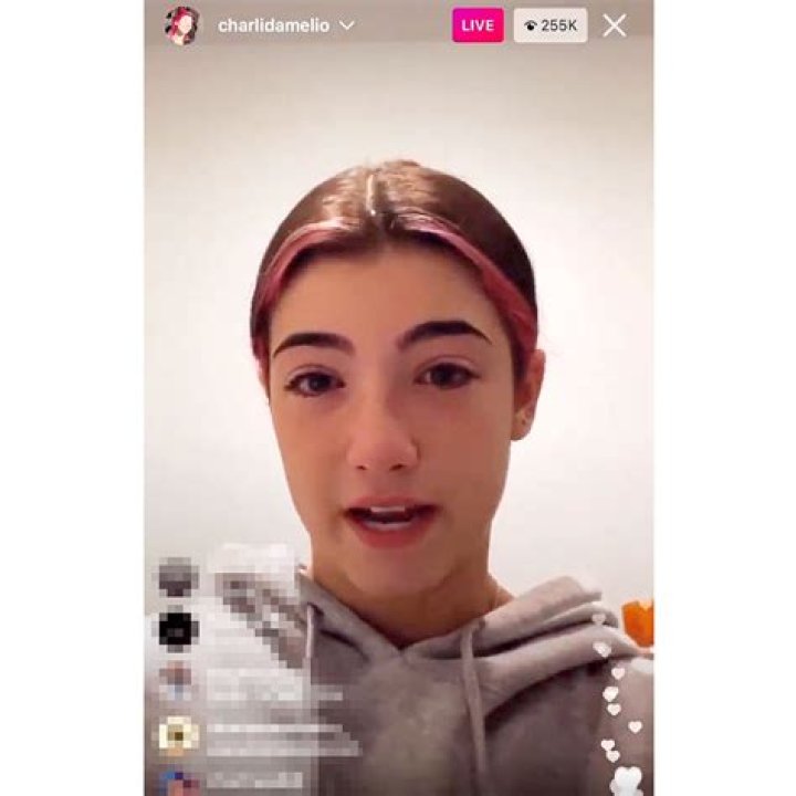 TikTok Star Charli D’Amelio Cries After Chef Video Backlash