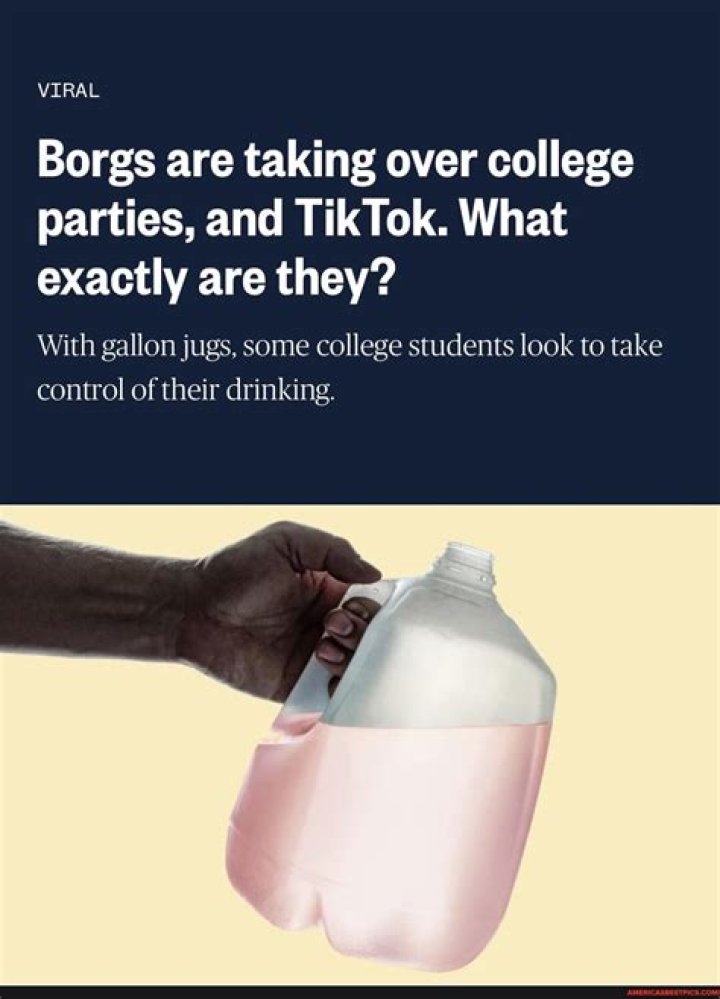 Borgs are taking over college parties, and TikTok. What exactly are they?